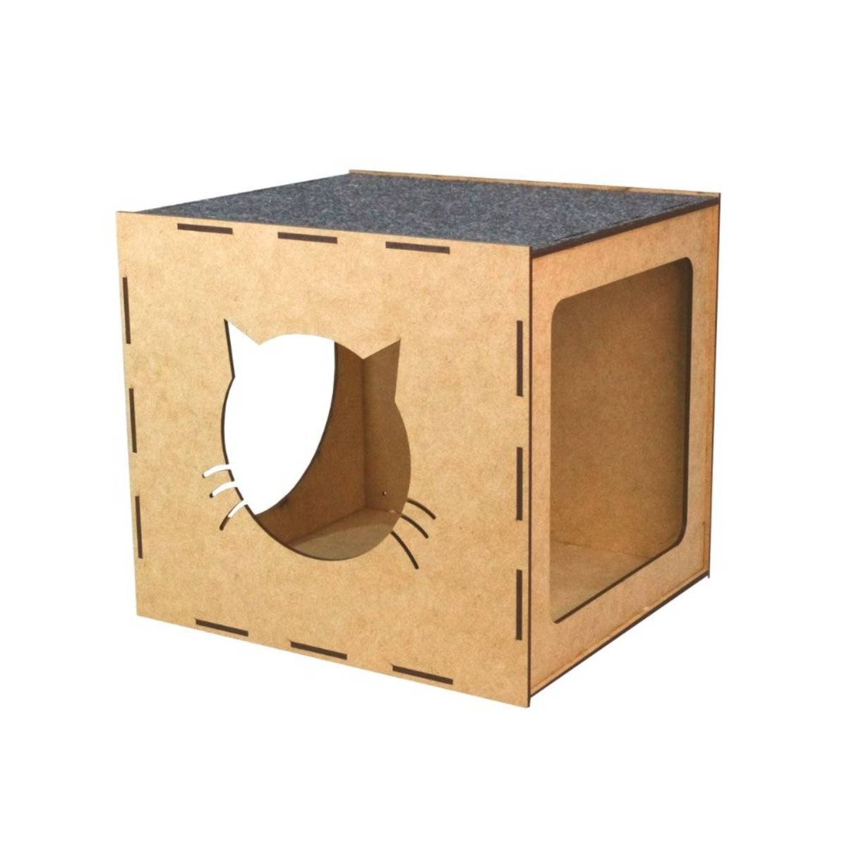 Circuito Gatos Zeelux